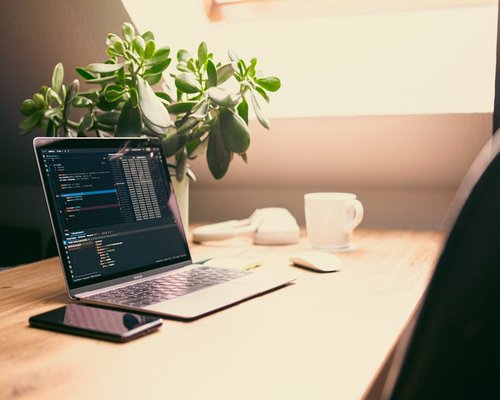A desk setup with a laptop and a houseplant capturing natural morning light